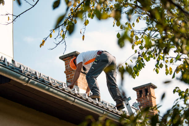 Best Roof Gutter Cleaning  in Mahomet, IL