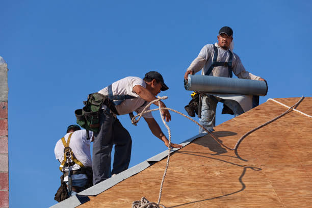Best Sealant for Roof  in Mahomet, IL