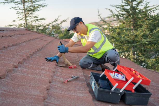 Best Roof Repair Services  in Mahomet, IL