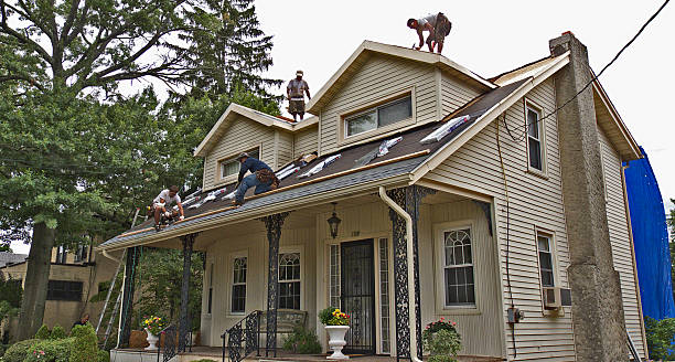 Best Metal Roofing Contractor  in Mahomet, IL