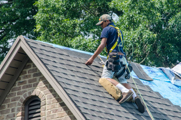 Best Metal Roofing Contractor  in Mahomet, IL